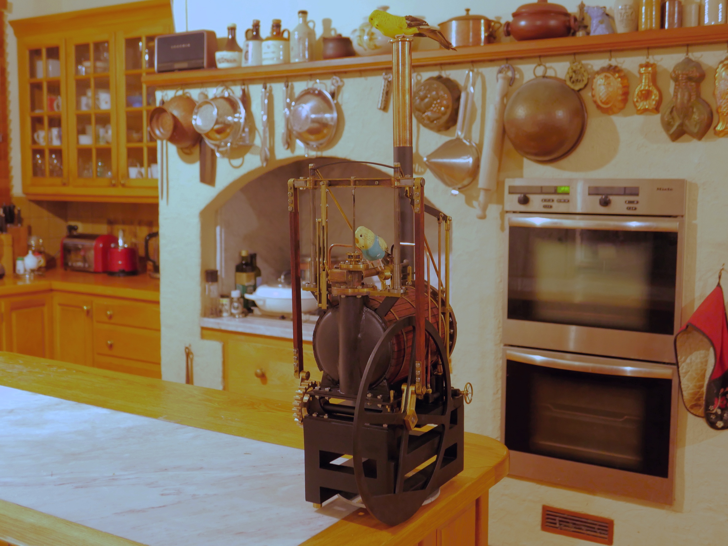Trevithick in kitchen.jpg